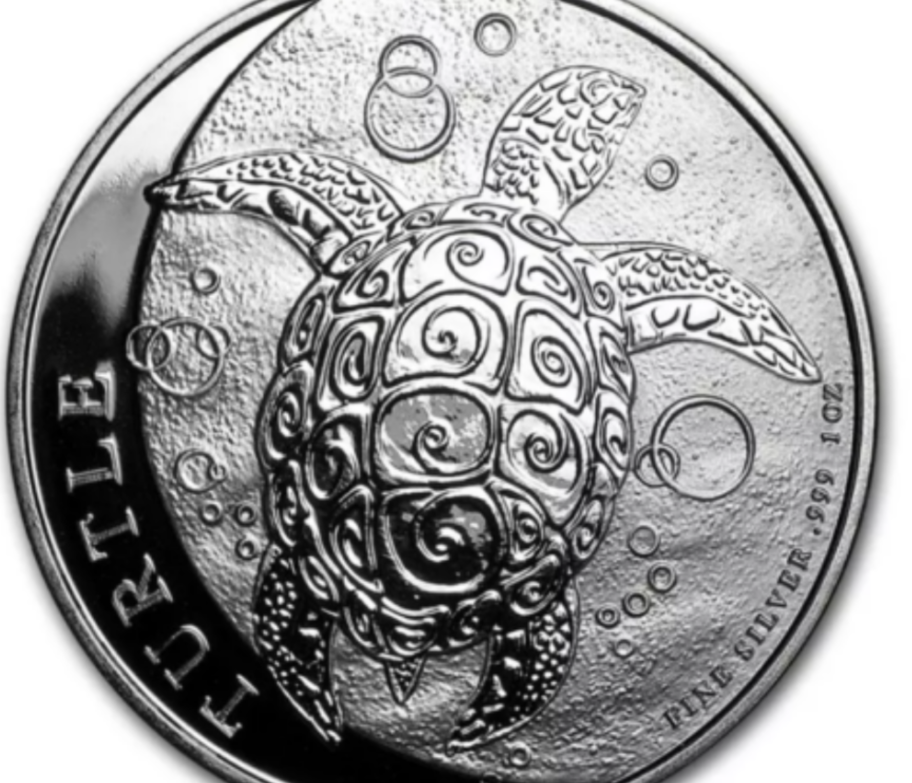 Niue Silver Hawksbill Turtle Coins Latest Guide (Updated 2023